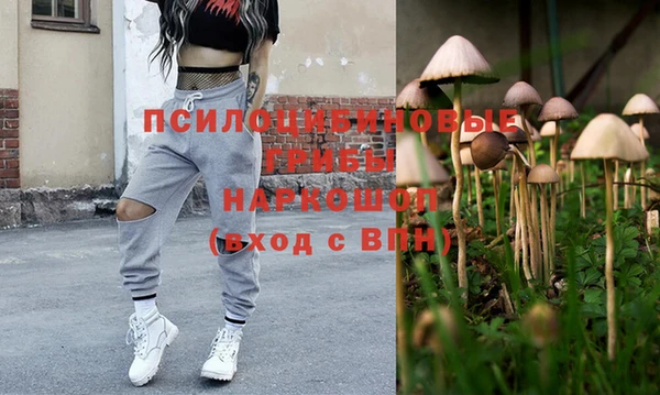 гашик Кулебаки