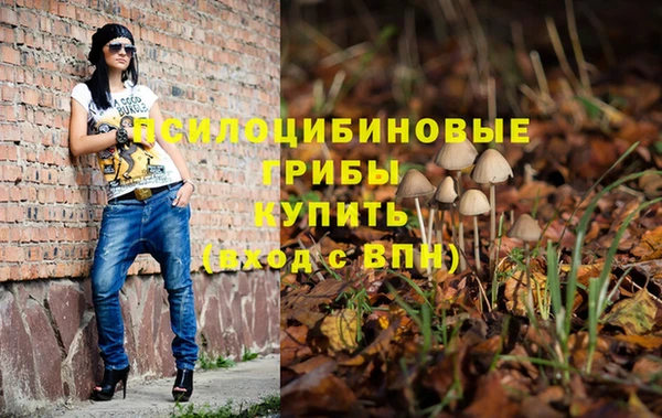 COCAINE Кукмор