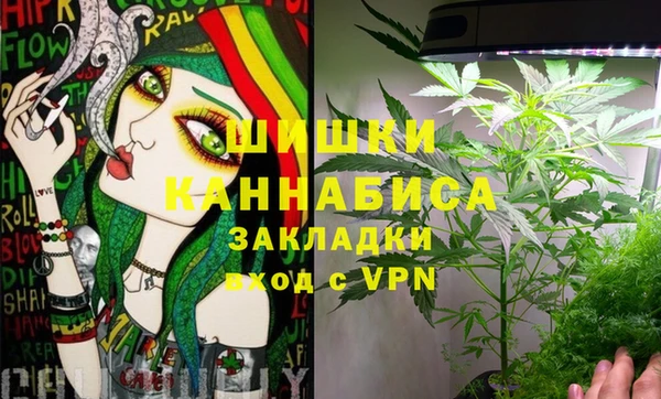 прущие грибы Новодвинск