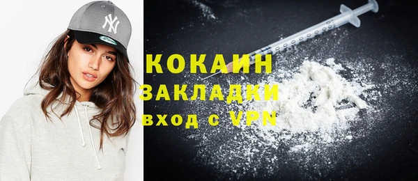 гашик Кулебаки