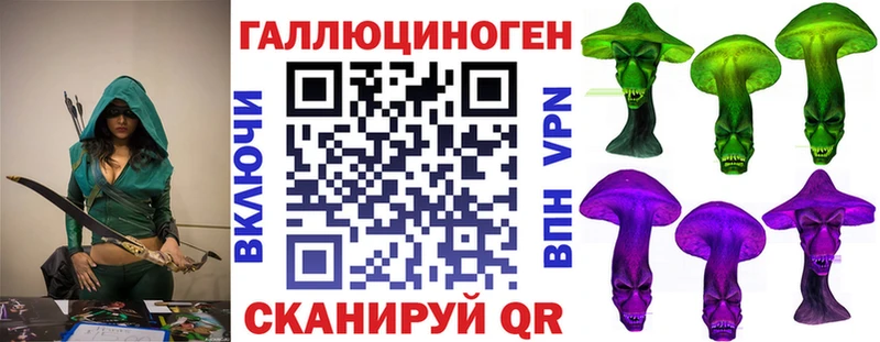 Псилоцибиновые грибы Cubensis сколько стоит Белгород