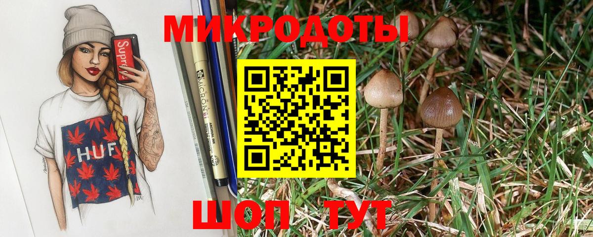 Галлюциногенные грибы Cubensis  Вход с VPN  Белгород 