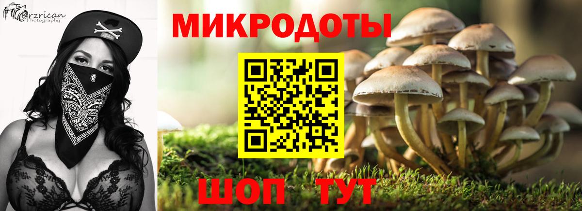 Псилоцибиновые грибы Psilocybine cubensis  Галлюциногенные грибы прущие грибы  Белгород 