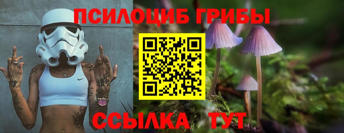 Псилоцибиновые грибы Cubensis Белгород